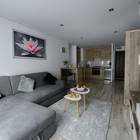 Apartament Przytulny キェルツェ エクステリア 写真