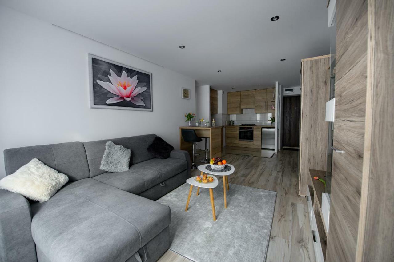 Apartament Przytulny キェルツェ エクステリア 写真