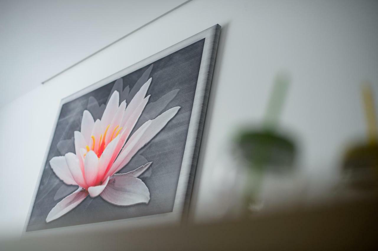 Apartament Przytulny キェルツェ エクステリア 写真