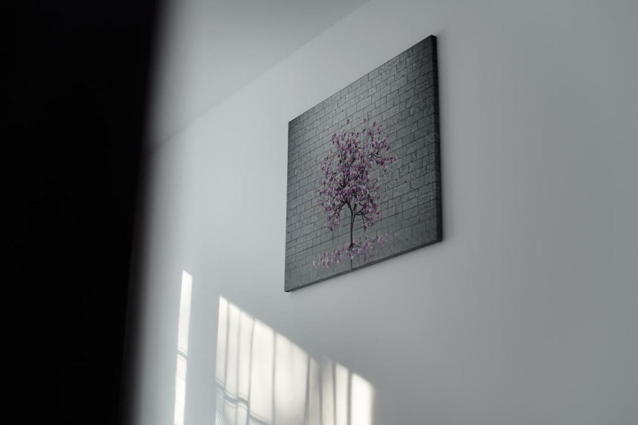 Apartament Przytulny キェルツェ エクステリア 写真