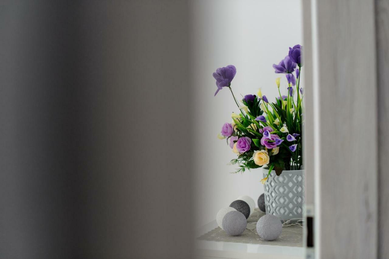 Apartament Przytulny キェルツェ エクステリア 写真