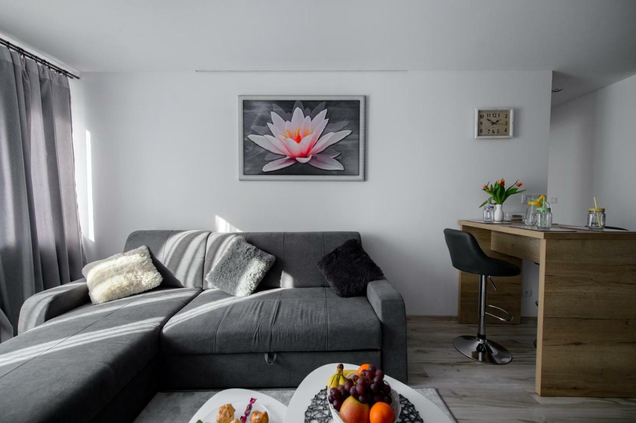 Apartament Przytulny キェルツェ エクステリア 写真